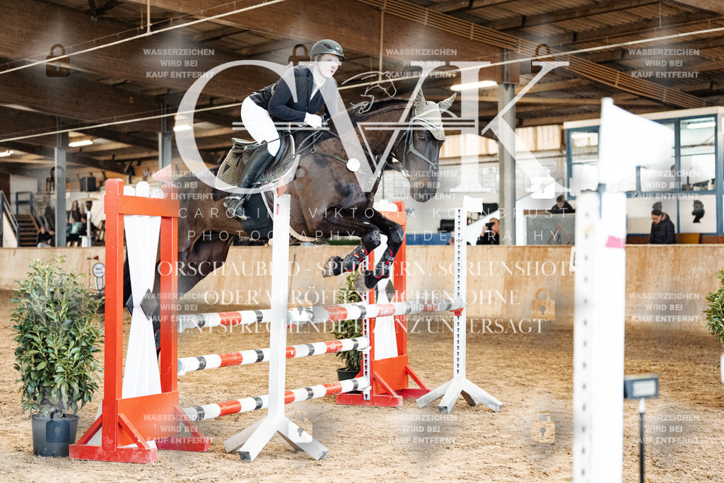 CK904958 | Turnierfotografie Pferdefotografie Trier Rheinland-Pfalz Pferdesport Reitsport Tierfotografie Sportfotografie Pferdevideo Pferdevideografie Equestrianvideography equestrianphotography  - Realized with Pictrs.com
