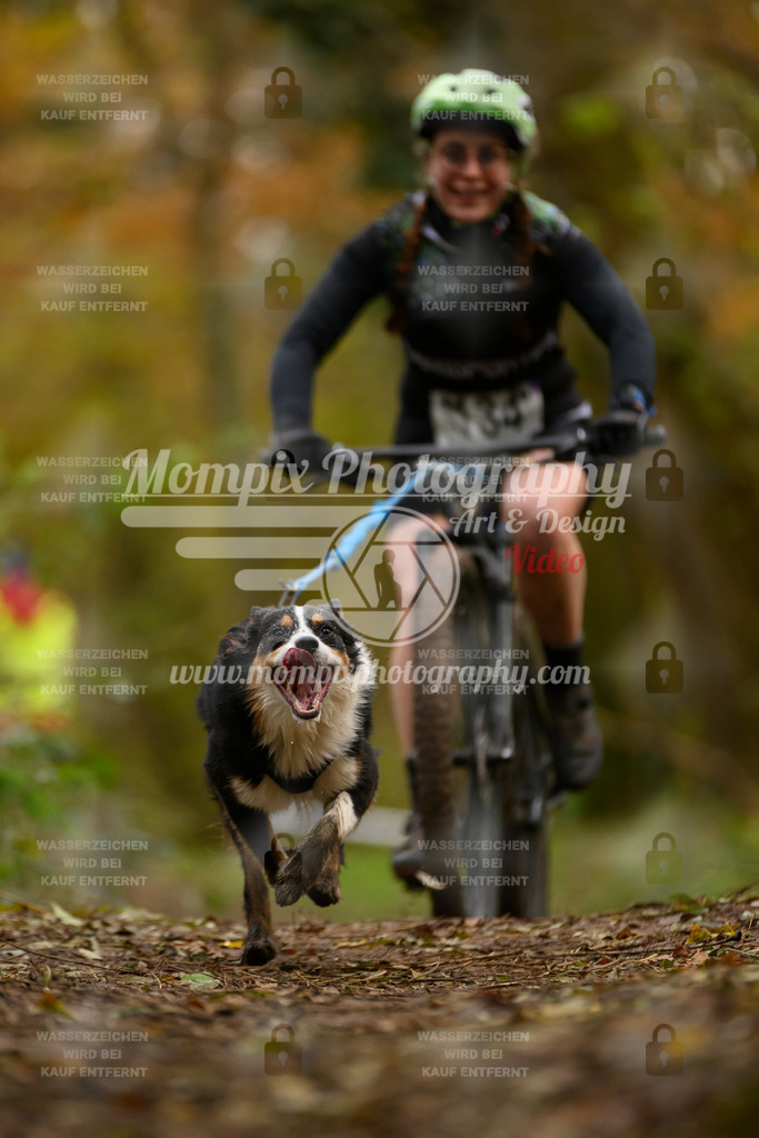 MompixPhotography_Bischwiller24_SA_VTT-69 | PayLife