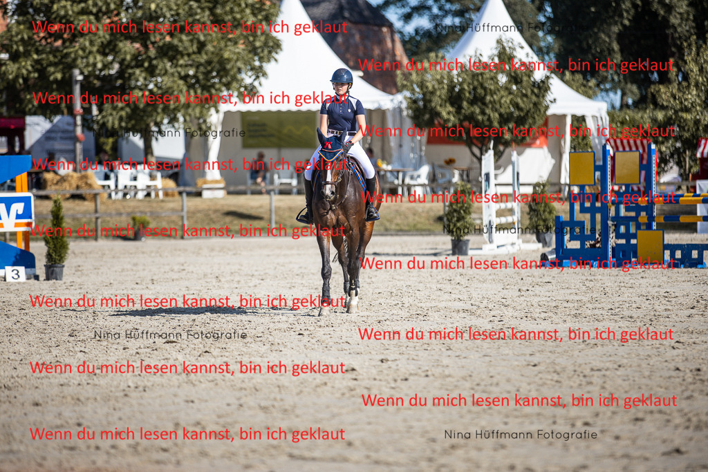 BK1A7357 | Turnierbilder Turnierfotos Nina Hüffmann Turnierfotografie Pferdefotografie Tierzeichnung Haustierzeichnung Pferdezeichnung Hundezeichnung Videograf  - Realisiert mit Pictrs.com