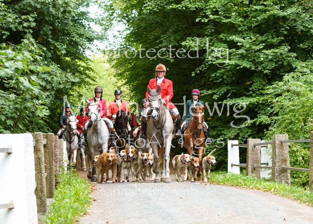 Jagd Knoop 26_MarinaHewigMCH02678 | Fotografie, FotoArt, PferdesportArt, Pferdesportfotografie, Landschaftsfotografie, Reisefotografie, Reise, Pferde - Realisiert mit Pictrs.com