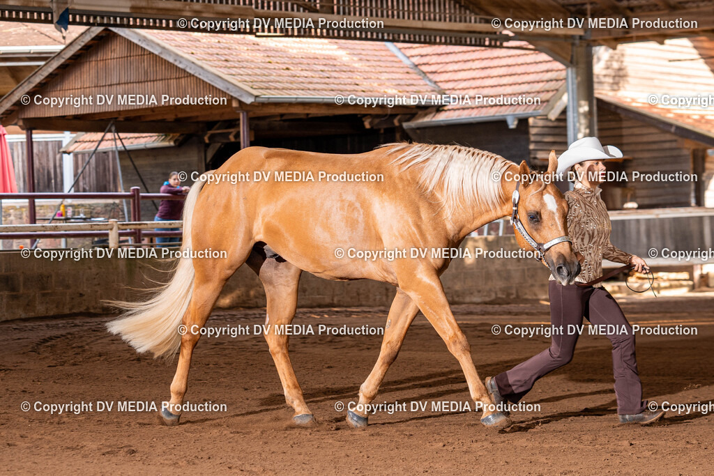 Erbach Tag 3-38 | dv-media-shop - Realisiert mit Pictrs.com