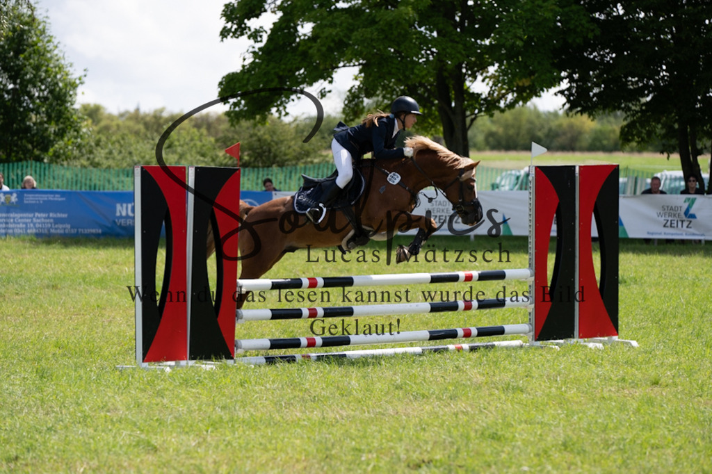 A7V04356 | Pferdefotograf