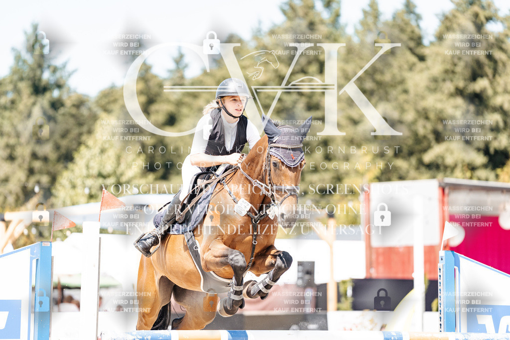 CK900818 | Turnierfotografie Pferdefotografie Trier Rheinland-Pfalz Pferdesport Reitsport Tierfotografie Sportfotografie Pferdevideo Pferdevideografie Equestrianvideography equestrianphotography  - Realisiert mit Pictrs.com