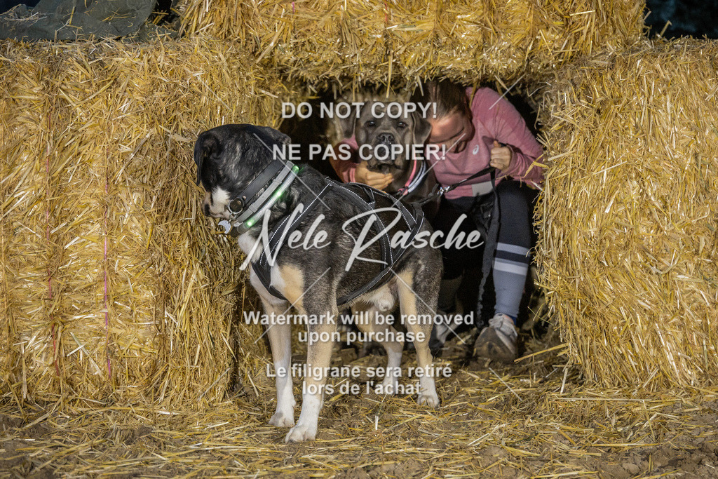 nelerasche_FrNacht_291 | nelerasche
