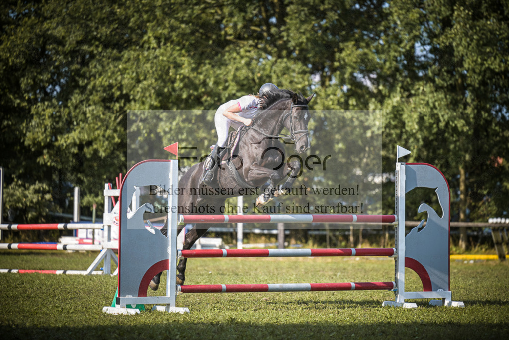 DOS_1242 | Entdecke hochwertige Reitturnierfotos von Foto Oger. Professionell, emotional und authentisch – jetzt Lieblingsmomente im Shop bestellen.Deutschlandweite Turnierfotografie. - Realisiert mit Pictrs.com