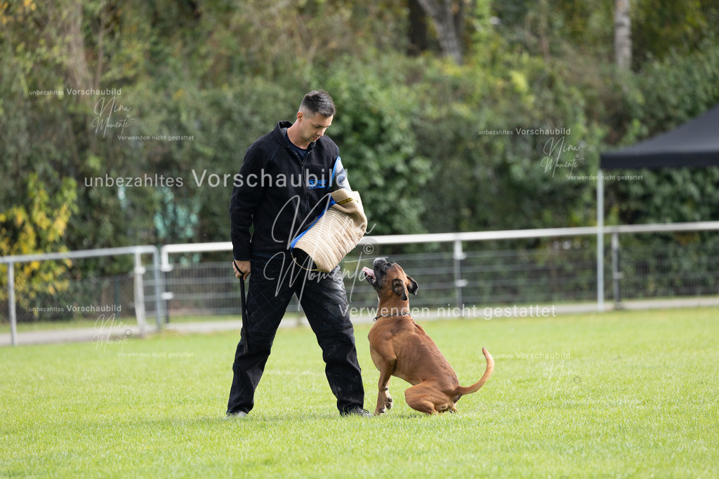 _16A7037 | Einzigartige Fotos von Hunden & Menschen –Actionfotos, Portraits, Vereinsaufnahmen & Paarshootings – authentisch, lebendig & mit Herz.