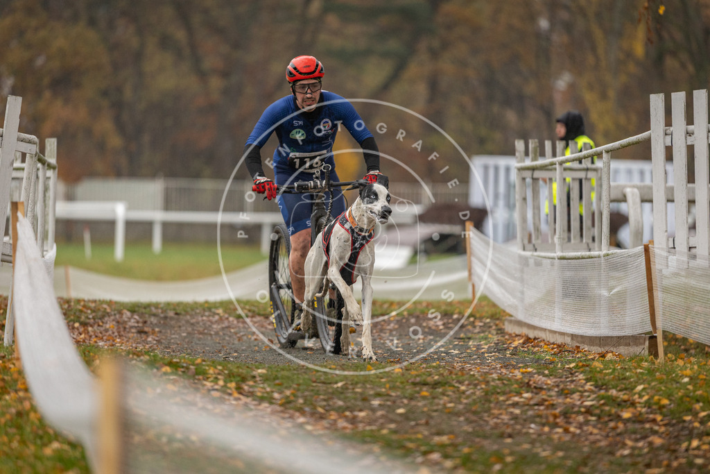 CaniXpix_DV3A8155 | Hundefotografie, Tierfotograf, Pfotenfotografie, Fotoshooting Hund, Hunde Portrait, Hundesport, Hundeportraits, Heideshooting, Hunde, Sportfotograf, Hundefotograf, Turnierhundsport, THS,  - Realisiert mit Pictrs.com