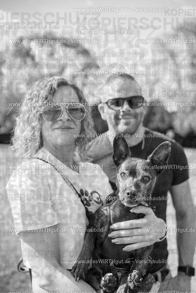 Hundeschwimmen_Volksbad_2026-allesWIRTHgut_Tierfotografie-2609061528-7R501561 | Professionelle Tierfotografie in Mönchengladbach von Daniel Wirth (allesWIRTHgut). Liebevolle & natürliche Bilder von Hunden & Katzen für unvergessliche Erinnerungen.