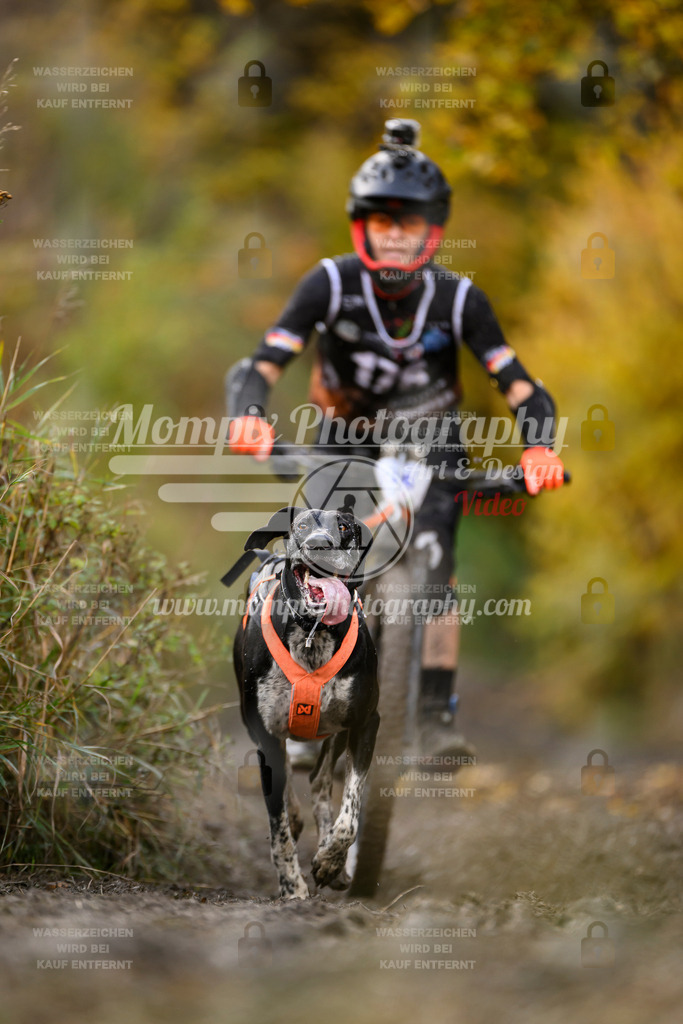 MompixPhotography_ICF_WC_2024_SA_Bike_-250 | PayLife