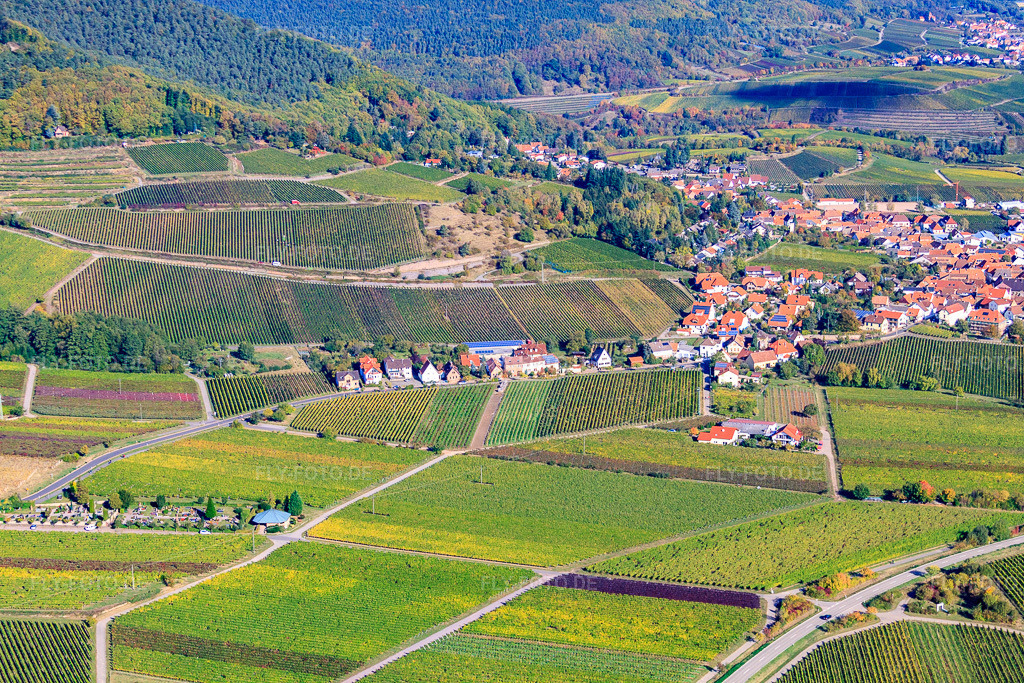 Luftbild: Winzerdorf am Haardtrand von Süden in Burrweiler im Bundesland Rheinland-Pfalz in Deutschland. Foto: IMG_22264.jpg vom 15.10.2009 durch Werner Riehm/FLY-FOTO.de