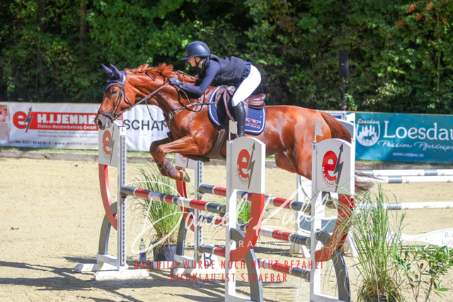 DKP43095 | Deine Turnierfotos vom Reitturnier online kaufen: Dressur, Springen & Siegerehrung. Professionelle Pferdefotografie aus dem Rheinland – als Download & Print.Alternative: Turnierfotograf für den Pferdesport: Finde deine Fotos von Dressur- und Springturnier