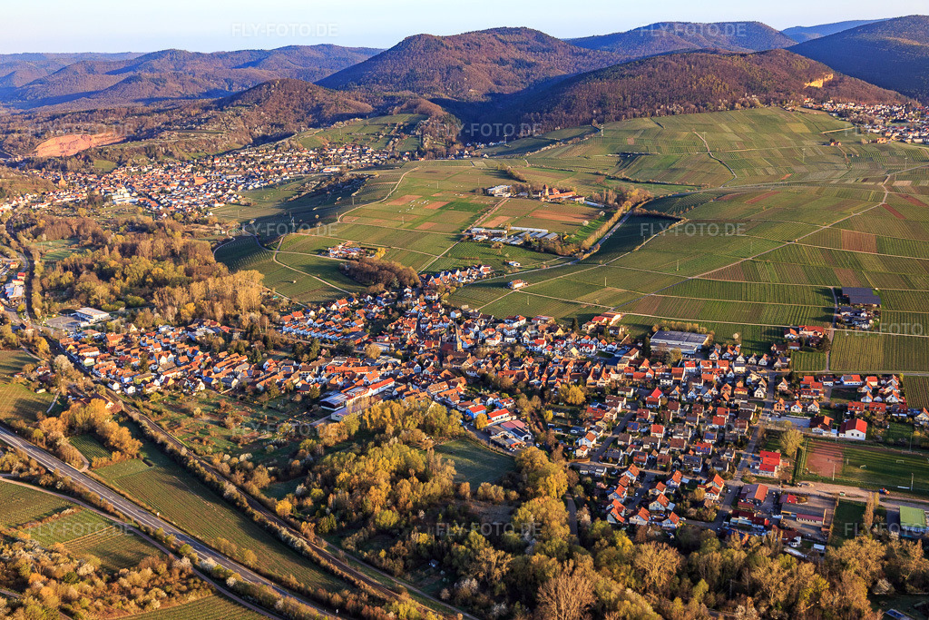 Luftbild: Ortsansicht von Südosten in Siebeldingen im Bundesland Rheinland-Pfalz in Deutschland. Foto: IMG_126261.jpg vom 04.04.2021 durch Werner Riehm/FLY-FOTO.de