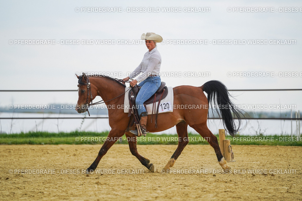 DSC08187 | Pferdegrafie