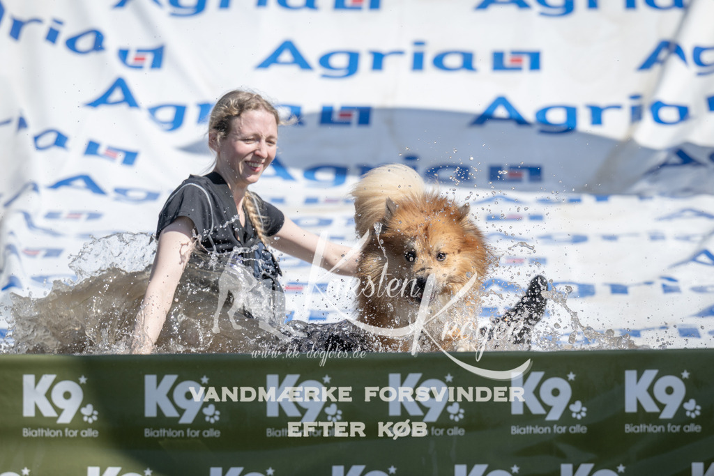 1207_ZZ94876 | kk-dogfotos