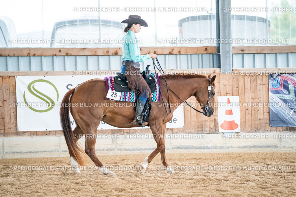 DSC03270 | Pferdegrafie