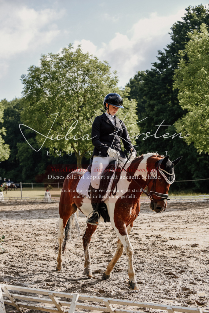 DSC_8748 | Pferde- und Turnierfotografie in Westsachsen. Pferdeportraits, Auftragszeichnungen und intuitive Kunst.