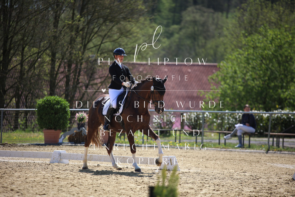 IMGT2598 | pl-fotografie