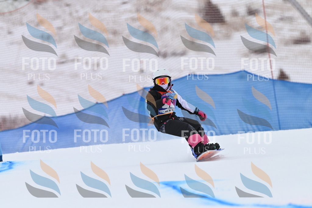 BGV_3500 | holidayphoto