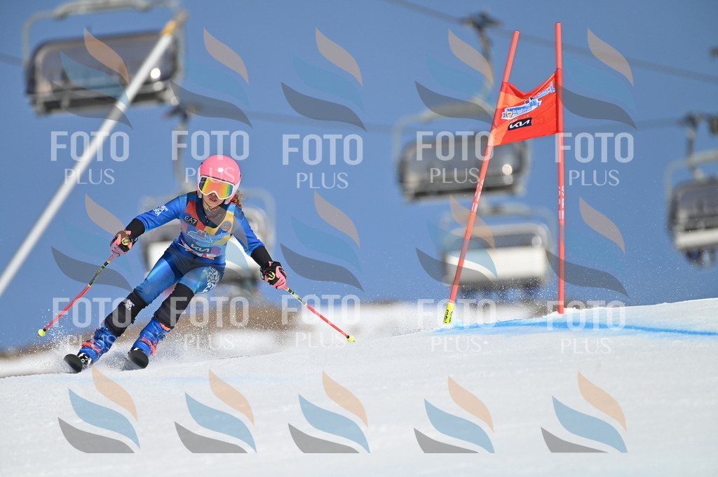 BGV_8213 | holidayphoto