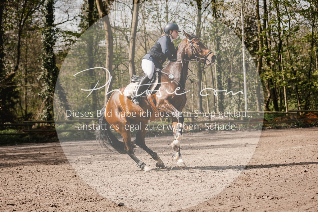 3I6A4115 | Stimmungsvolle Portraits und Reitsportfotografie im Ruhrgebiet und im Münsterland.

Pferdefotografie, Hundefotografie, Tierfotografie, Reportagen, Portraits von Tier und Mensch, Turnierfotografie in Bochum, Recklinghausen, Marl, Haltern am See, Dülmen.. - Realisiert mit Pictrs.com