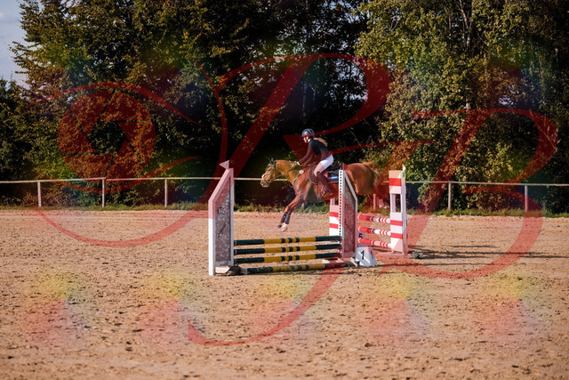 2026_10_03_Siefer-Hof_155815_Z81_78151881 | Professionelle Reitsport-, Turnier- und Eventfotografie von Robert Broda. Galerien mit ausgewählten und bearbeiteten Bildern direkt online ansehen und bestellen.