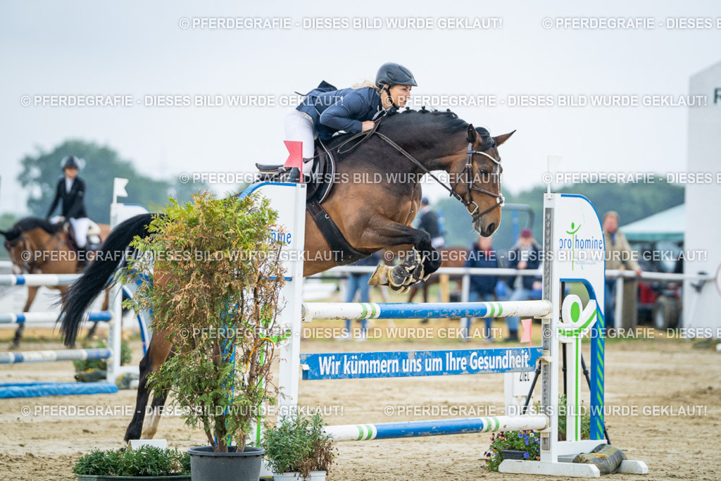 DSC01915 | Pferdegrafie