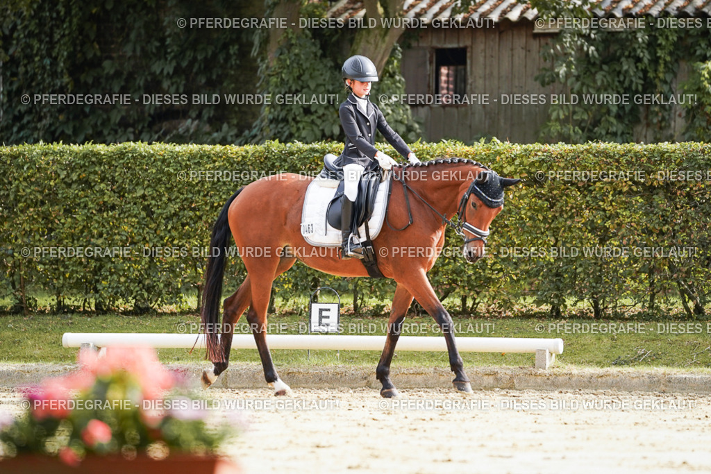 DSC04116 | Pferdegrafie