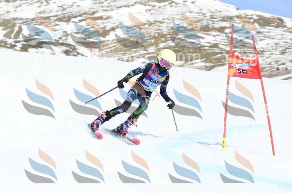 _ELE2435 | holidayphoto