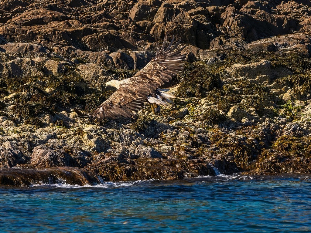 P1001642-LR-topaz-denoise-enhance | Natur im Moment - Realisiert mit Pictrs.com