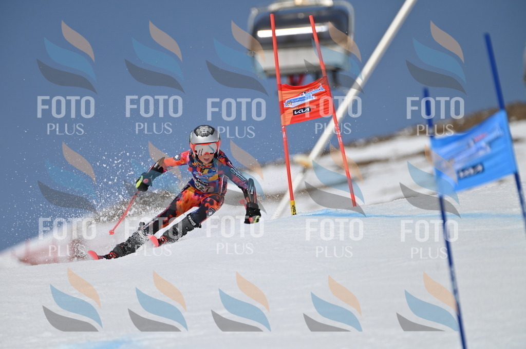 BGV_6468 | holidayphoto