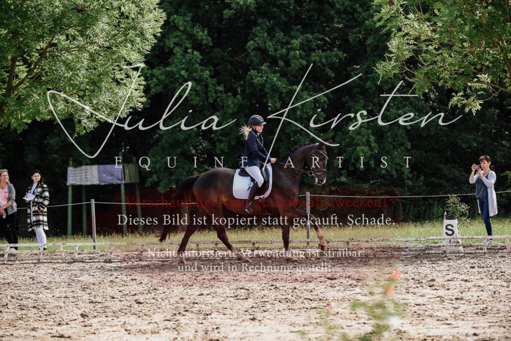 DSC_0122 | Pferde- und Turnierfotografie in Westsachsen. Pferdeportraits, Auftragszeichnungen und intuitive Kunst.