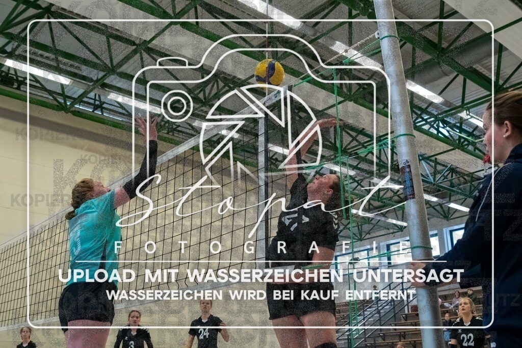 TVJ-1080 | Volleyball Doppelspieltag der 2. Damenmannschaft des TV Jahn Walsrode in der Bezirksklasse 4 Bremen/Lüneburg gegen SG Örtzetal II &amp; SVG Lüneburg VII  in der Sporthalle Gymnasium Walsrode, Walsrode (Simon Paul Stopat) - Realisiert mit Pictrs.com