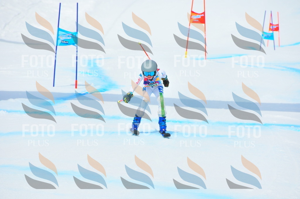 DSC_2634 | holidayphoto