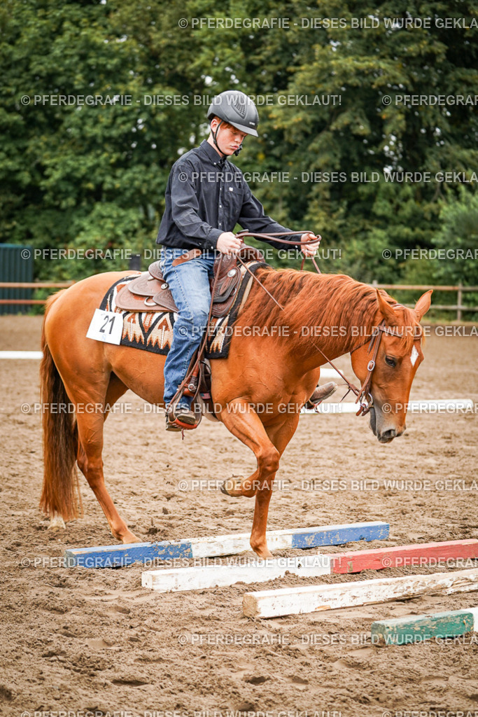 DSC03518 | Pferdegrafie