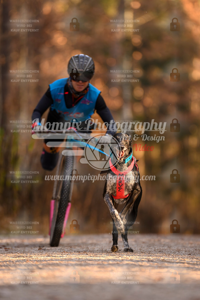 MompixPhotography_DM_AKDM_SO_2025_Scooter-141 | PayLife