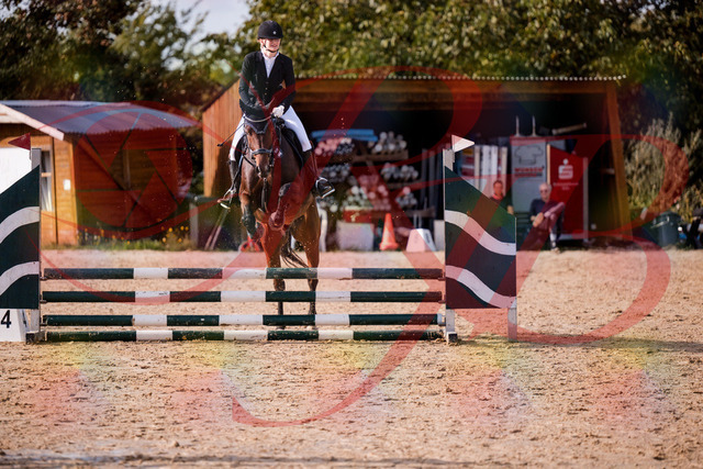 2026_10_03_Siefer-Hof_154136_Z81_58309896 | Professionelle Reitsport-, Turnier- und Eventfotografie von Robert Broda. Galerien mit ausgewählten und bearbeiteten Bildern direkt online ansehen und bestellen.