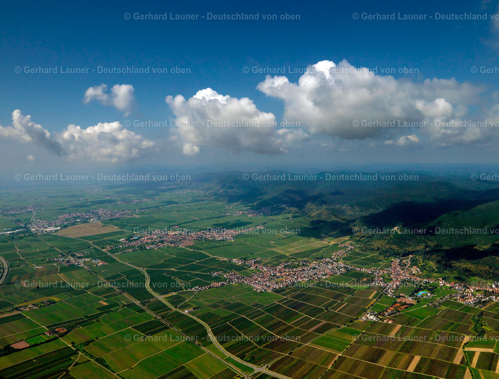 3070348 | Weinlandschaft bei Diedesfeld mit Blick über den Pfälzer Wald bin Richtung Süden