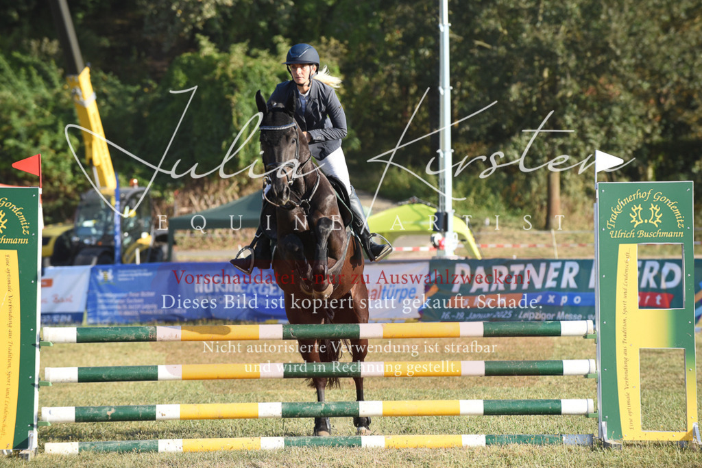 DSC_4946 | Pferde- und Turnierfotografie in Westsachsen. Pferdeportraits, Auftragszeichnungen und intuitive Kunst.