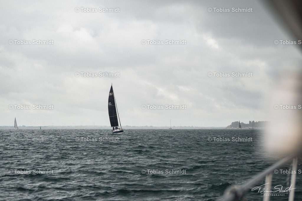 Fehmarn Rund 2025_DSC6798 | Fotoprodukte, Kalender und Wanddeko direkt vom Fotografen auf Fehmarn. Ob Wandbild auf Alu-Dibond, hinter Acrylglas oder auf Leinwand – hier können Sie Ihr Lieblingsbild kaufen. - Realisiert mit Pictrs.com
