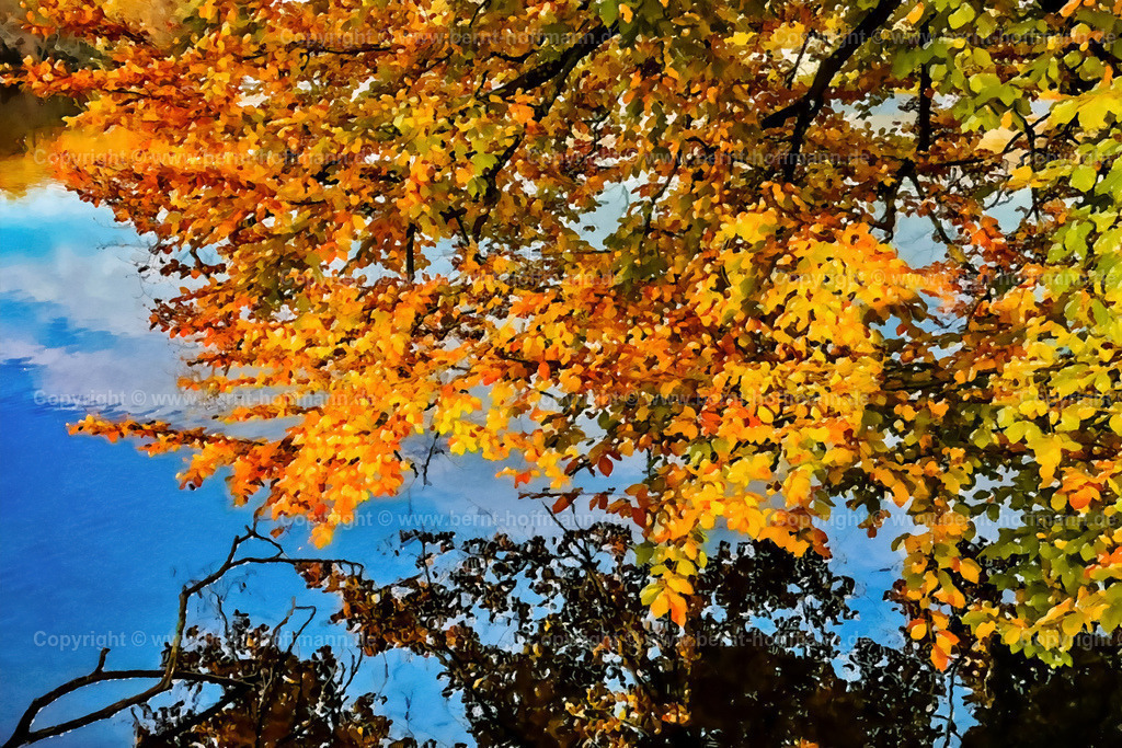 PDM2_1041_Herbstfarben_180x120 | DIGITALKUNST. Herbstimpression am See. __ Buchenzweige mit Laubverfärbung über dem stillen Wasser an einem See. __ Seitenverhältnis = 3 zu 2 - Realisiert mit Pictrs.com