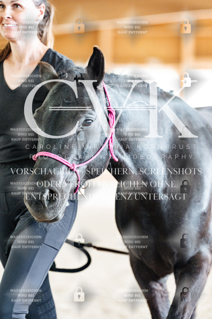 CK908384 | Turnierfotografie Pferdefotografie Trier Rheinland-Pfalz Pferdesport Reitsport Tierfotografie Sportfotografie Pferdevideo Pferdevideografie Equestrianvideography equestrianphotography  - Realisiert mit Pictrs.com