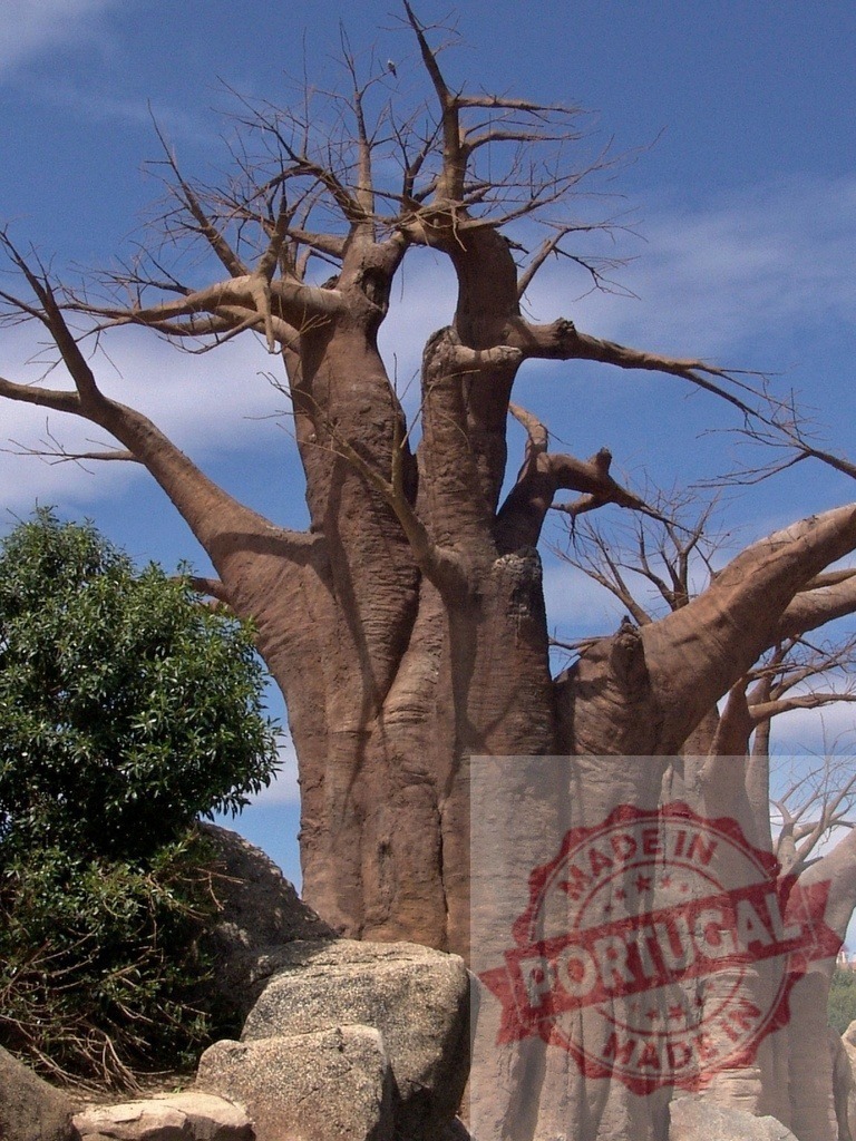 Baobab tree standing with bare branches against blue sky | Ancient baobab tree showcasing drought adaptation and resilience in a dry landscape - Realisiert mit Pictrs.com