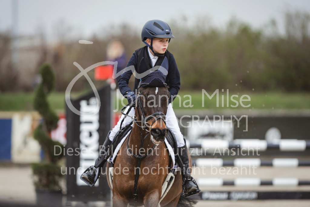 240330_Fruehlingsfest_Stil-A2-1-616 | Deine schönsten Turniermomente als professionelle Fotos! Entdecke hochwertige Pferdesport-Fotografie im Online-Shop. Jetzt Fotos finden & bestellen!