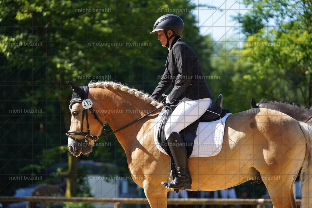 20240706-FAH04818 | Grafing Turnierfotos, Reitverein Ebersberg, Turnierfotografen Bayern, reitsportbilder, Pferdefotograf, reitsportfotograf, Sportbilder, Reitsportfotografie, Fotoagentur Herrmann, Turnierfotograf