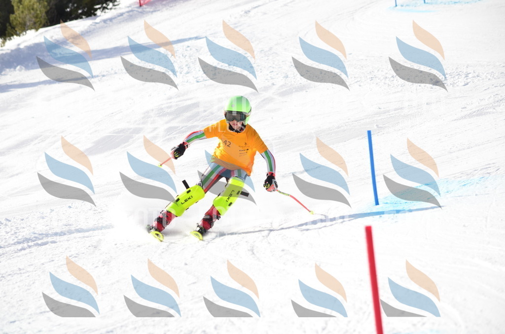 C6547 | holidayphoto