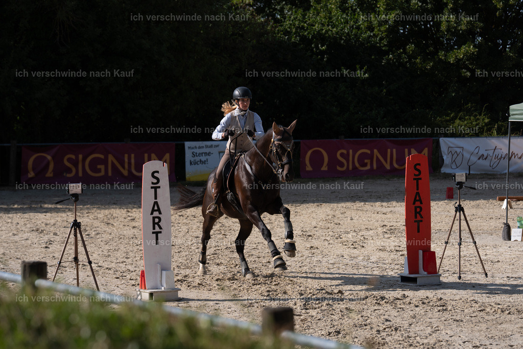 WS_SP_19_SinaFilmArt_IN09202 | working equitationturnier fotograf videograf stoibphotography marixx film working equitation deutschland reitsport turnierfotografie eventfotografie equestrian events