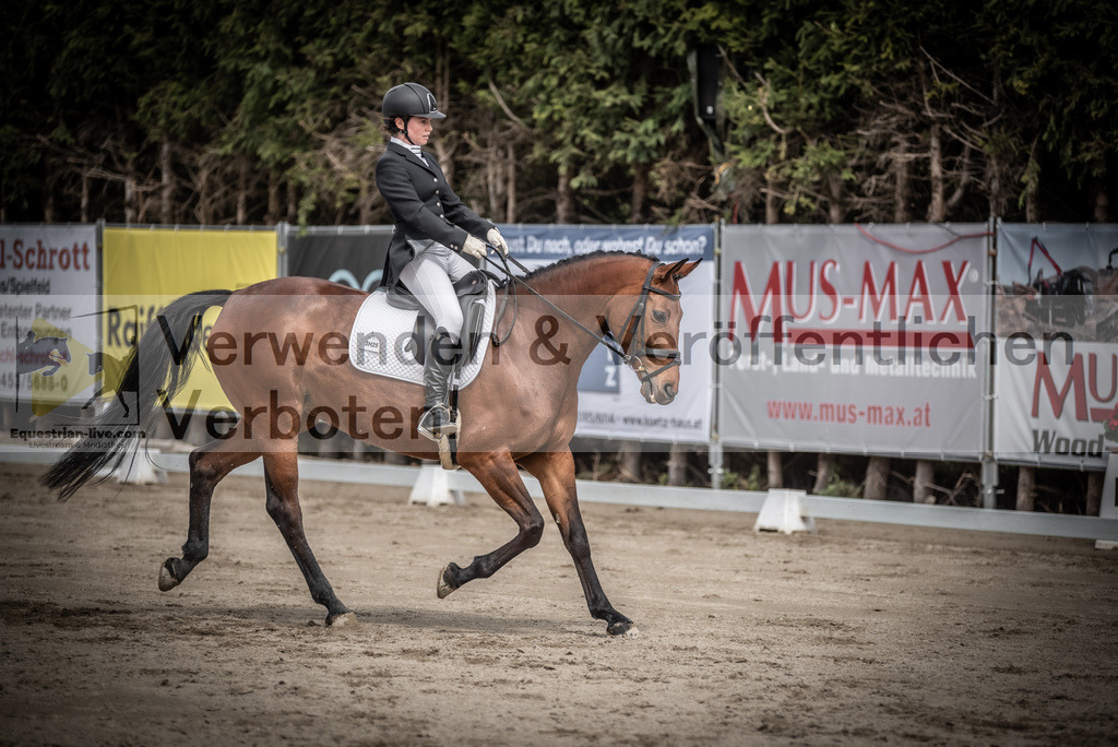 DSC_2408 | equestrian-live-com