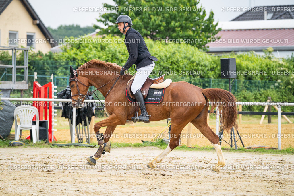 DSC00687 | Pferdegrafie