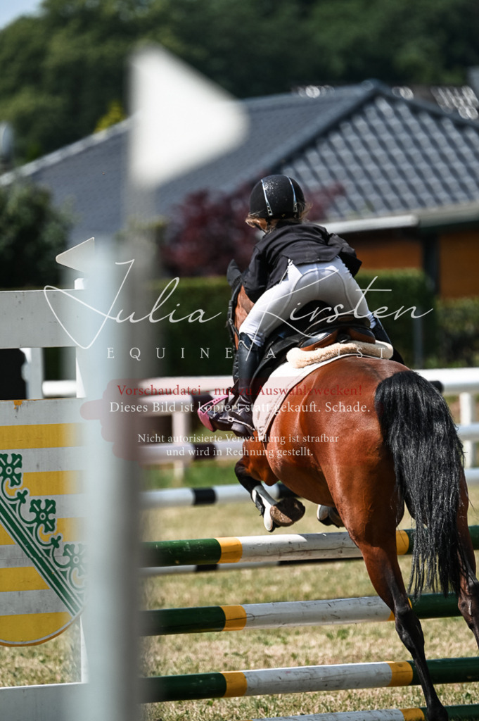 DSC_9358 | Pferde- und Turnierfotografie in Westsachsen. Pferdeportraits, Auftragszeichnungen und intuitive Kunst.
