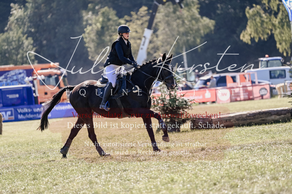 DSC_3235 | Pferde- und Turnierfotografie in Westsachsen. Pferdeportraits, Auftragszeichnungen und intuitive Kunst.